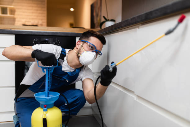 Best Cockroach Control Services  in Nitro, WV