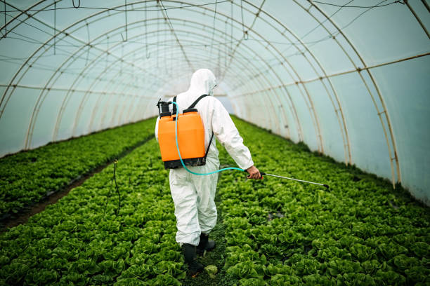 Best Pest Prevention Services  in Nitro, WV
