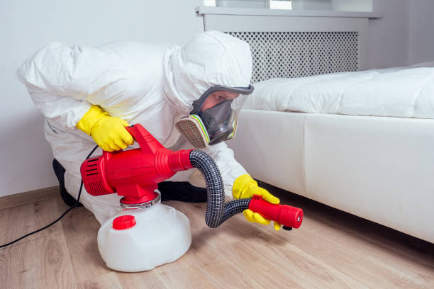 Wasp Removal Services in Nitro, WV