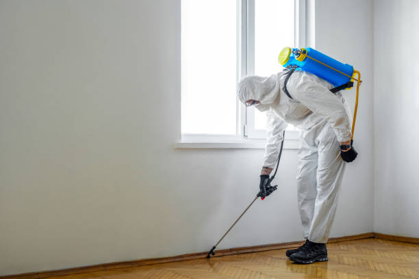 Best Affordable Pest Control Services  in Nitro, WV