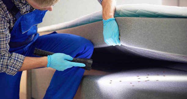 Best Pest Control for Homes  in Nitro, WV