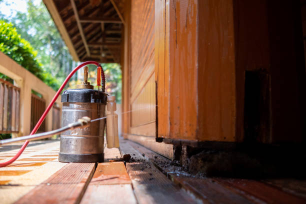 Best Local Pest Control Services  in Nitro, WV