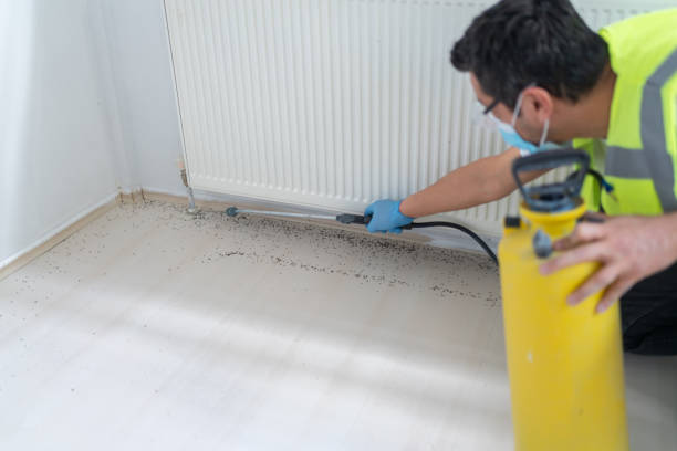 Best Best Pest Control Companies  in Nitro, WV